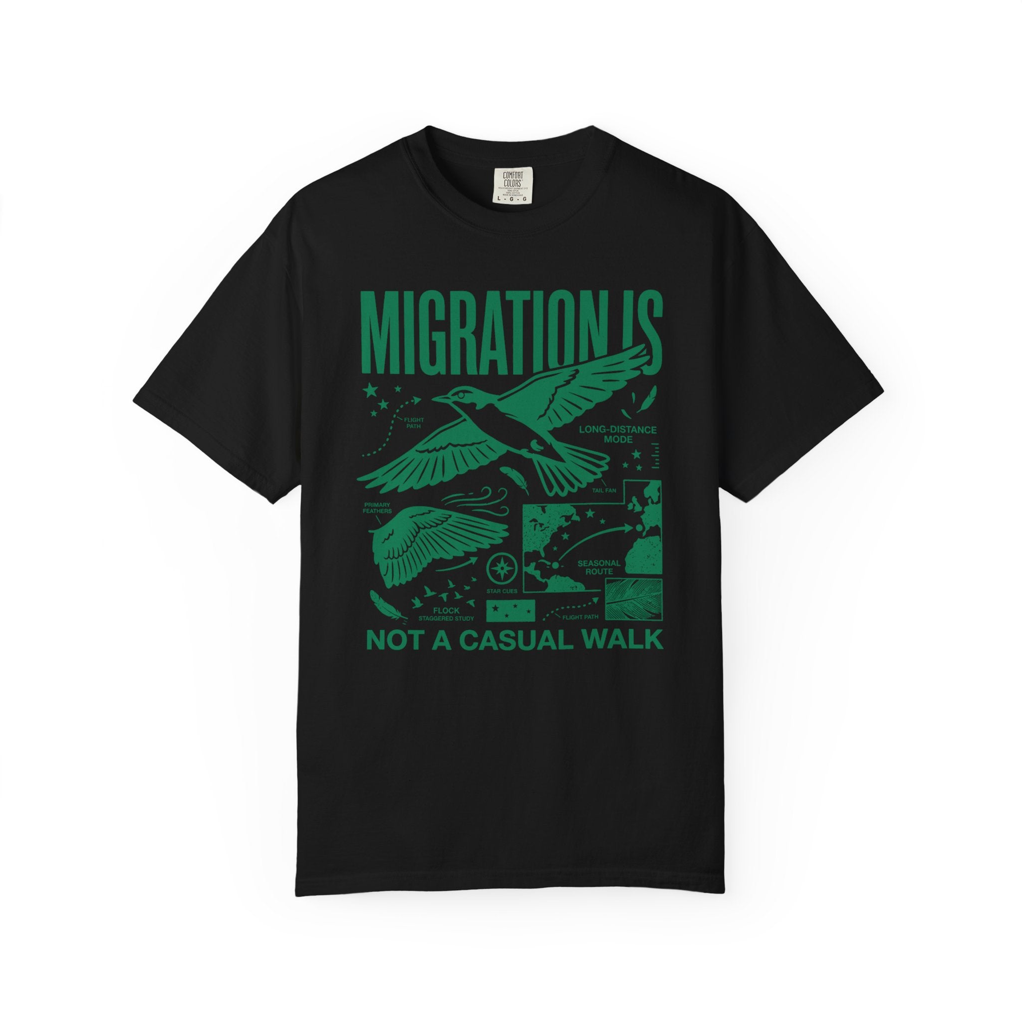 Vintage Bird Migration T-Shirt